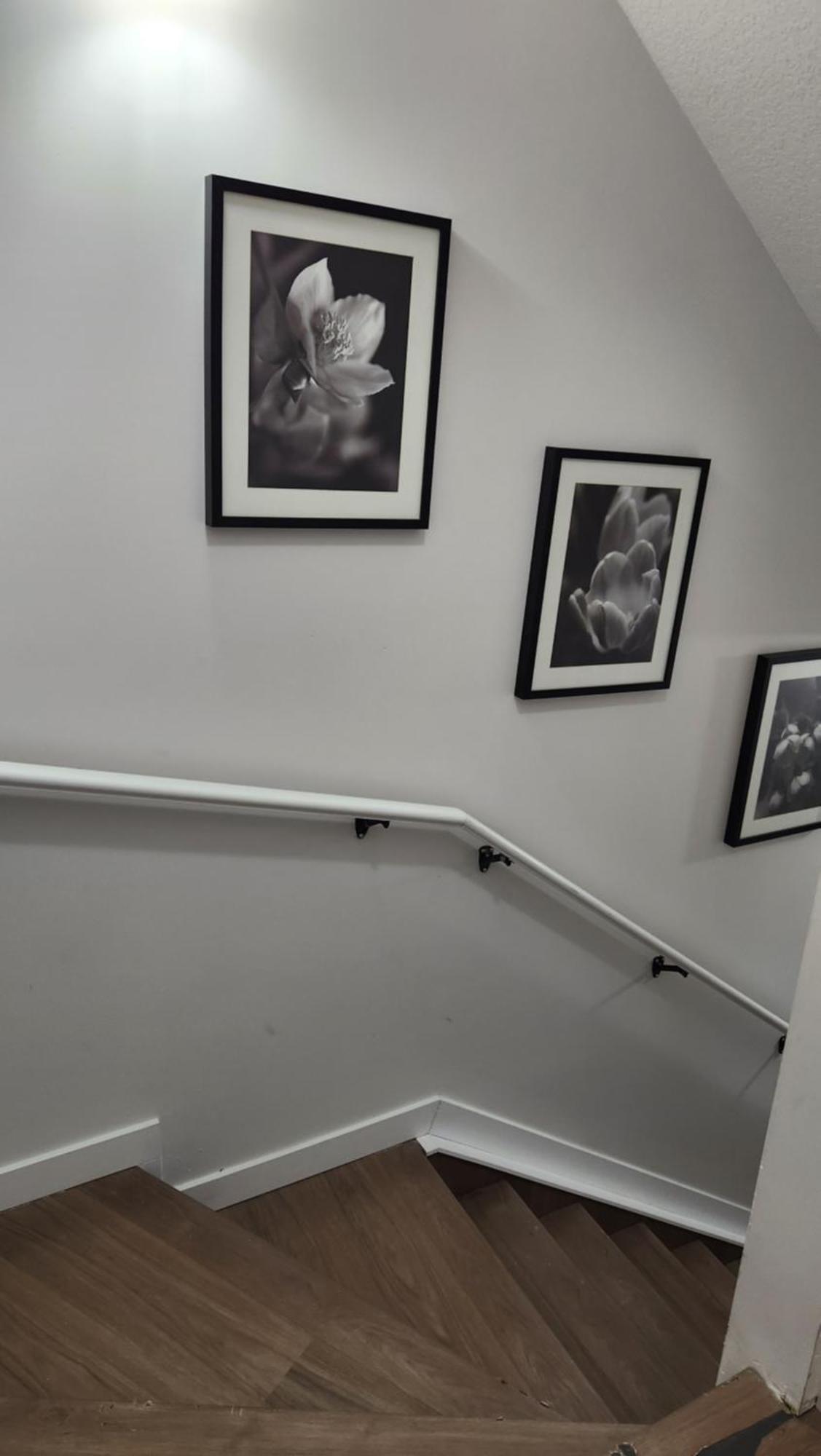 Modern 2 Bedroom Basement Suite At West Edmonton Eksteriør billede