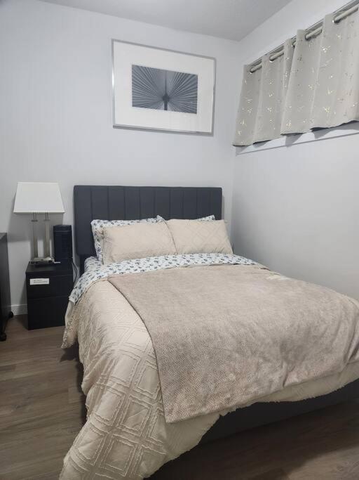 Modern 2 Bedroom Basement Suite At West Edmonton Eksteriør billede