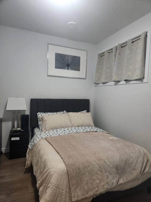 Modern 2 Bedroom Basement Suite At West Edmonton Eksteriør billede