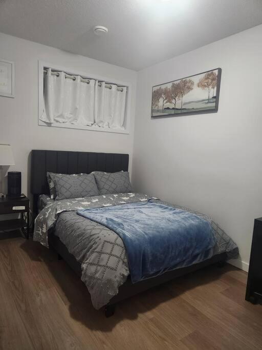 Modern 2 Bedroom Basement Suite At West Edmonton Eksteriør billede